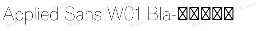 Applied Sans W01 Bla字体转换